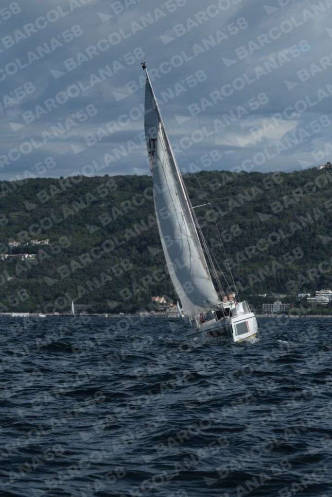 Mascone n° 1170