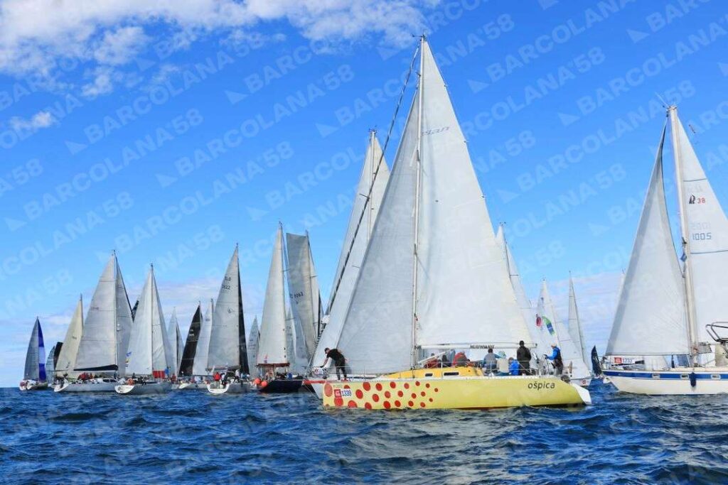 Mascone n° 1233, 1339