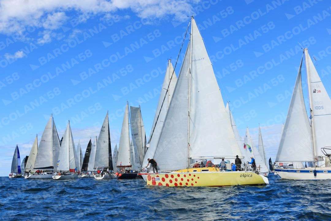 Mascone n° 1233, 1339