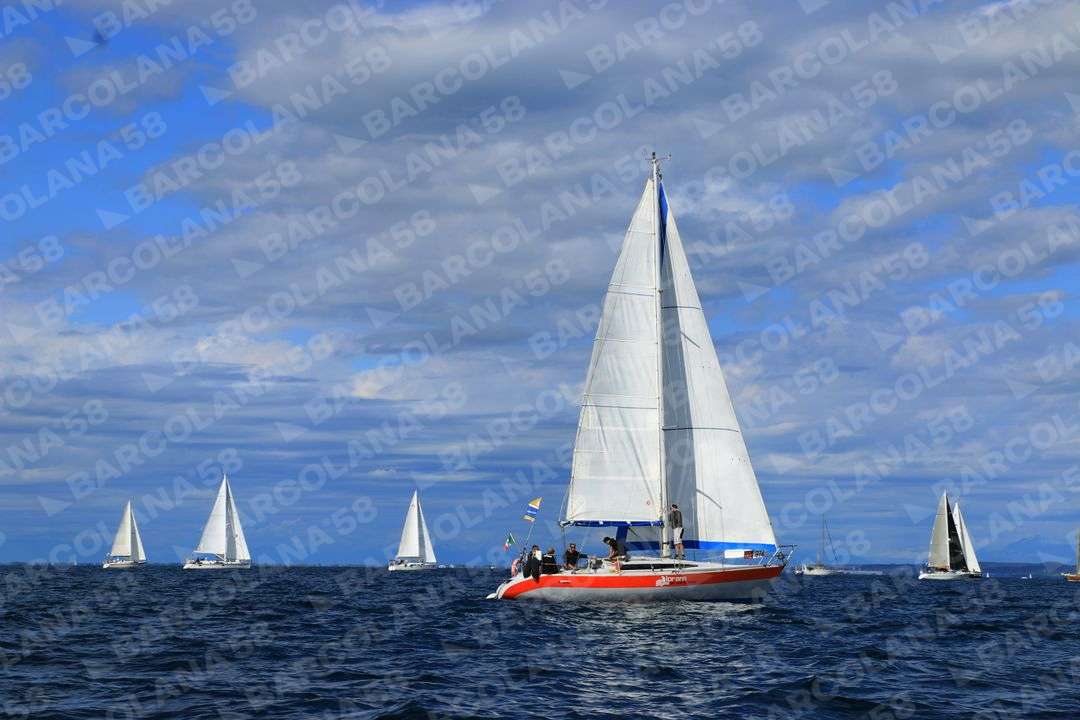 Mascone n° 0974