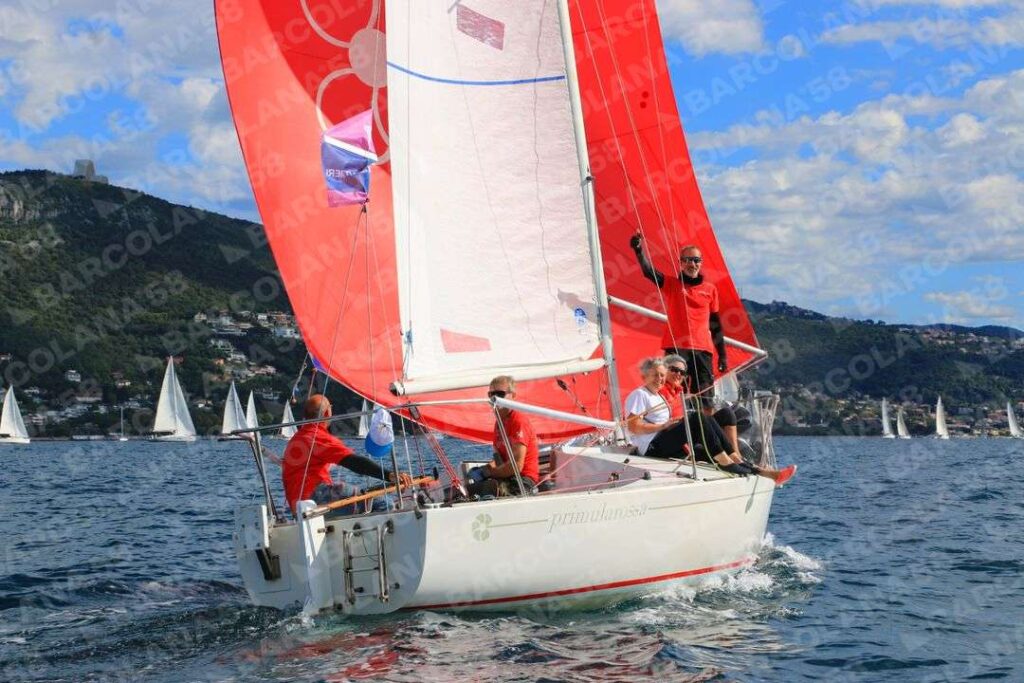 Mascone n° 1183