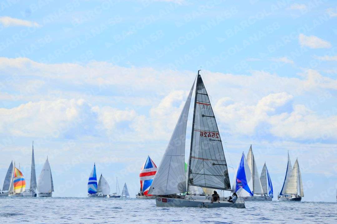 Mascone n° 1769