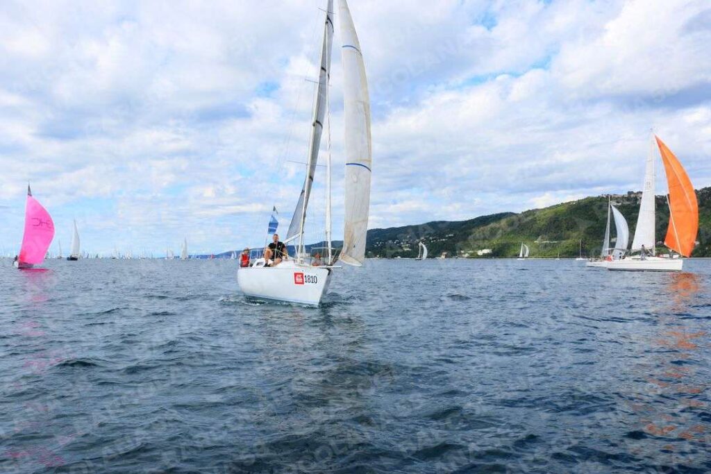 Mascone n° 1810