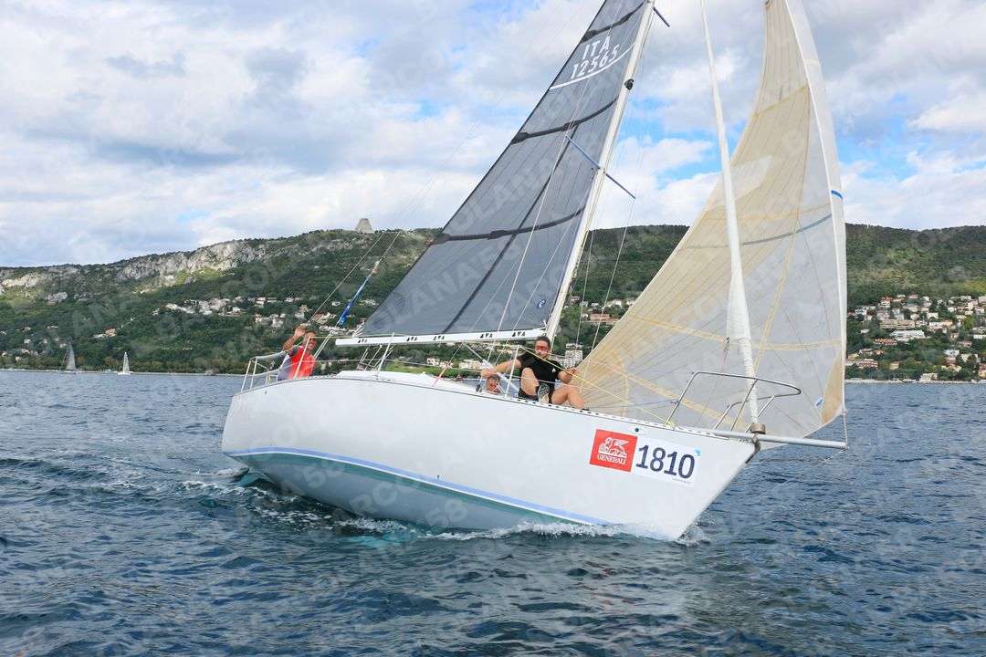 Mascone n° 1810 - immagine 1