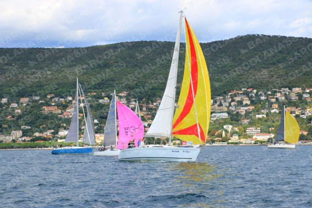 Mascone n° 1754