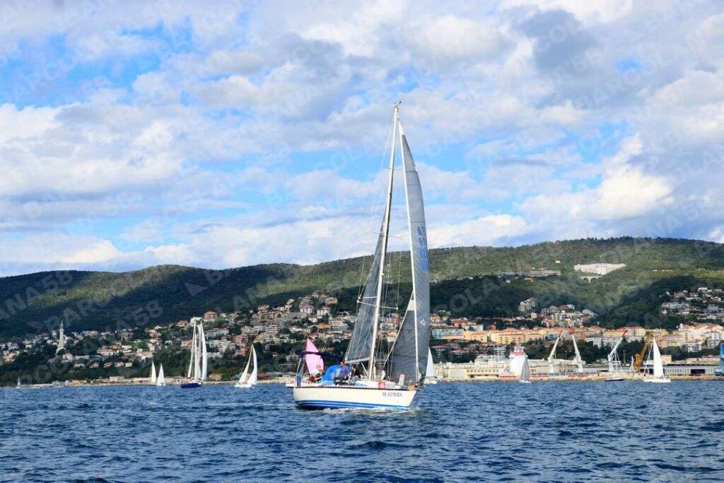 Mascone n° 1658
