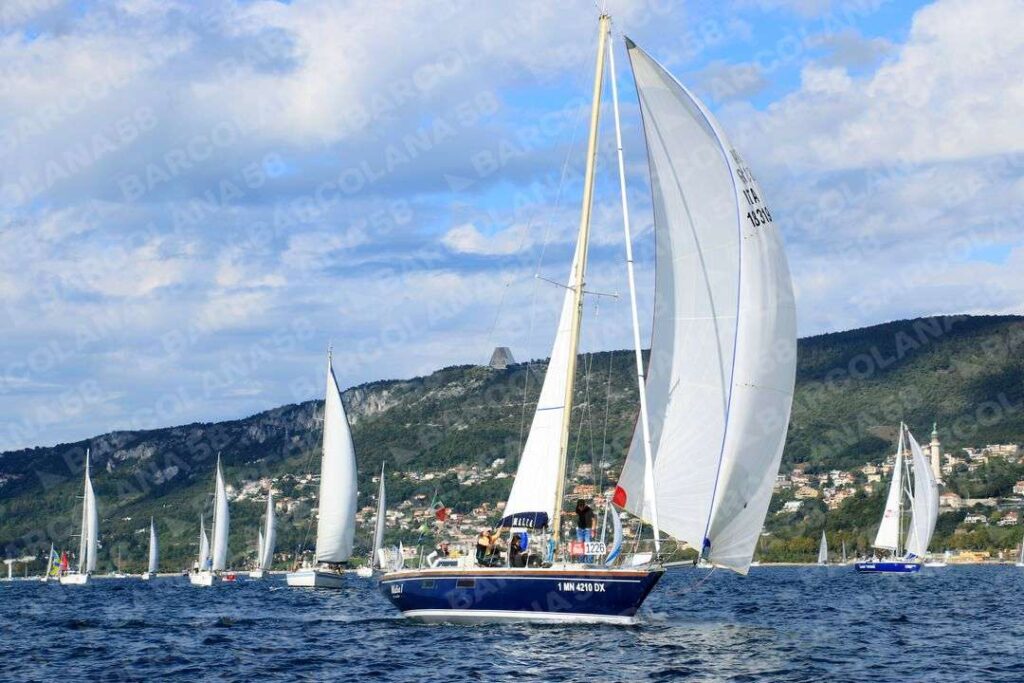 Mascone n° 1226