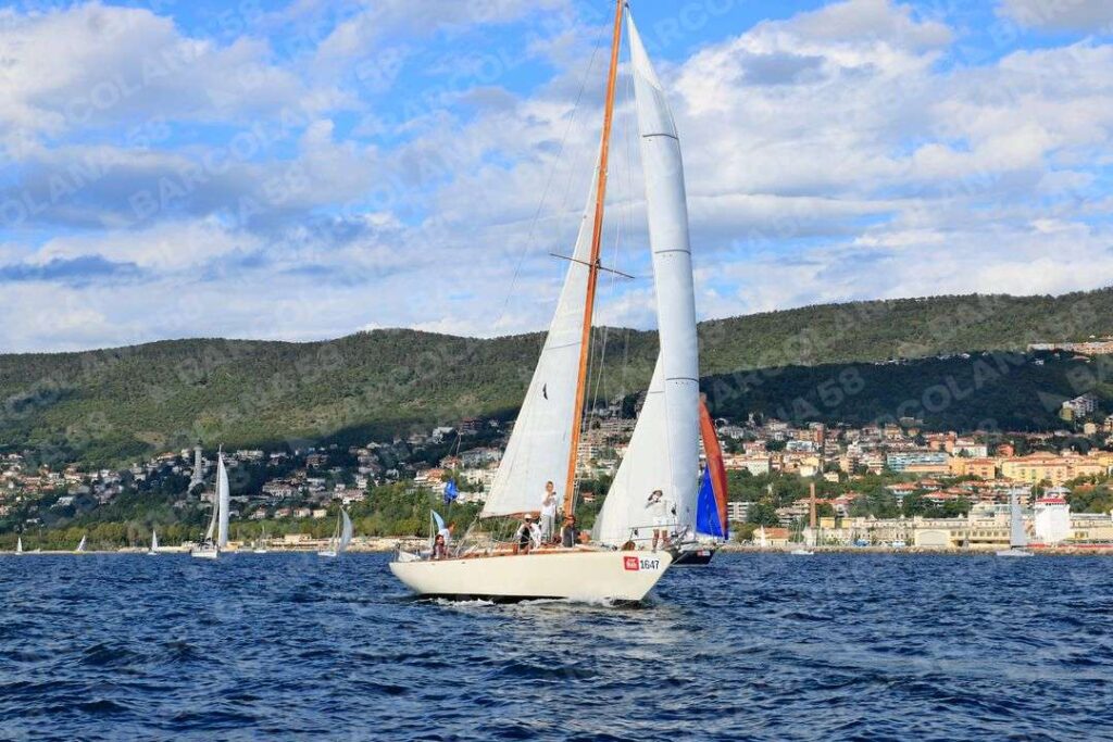 Mascone n° 1647