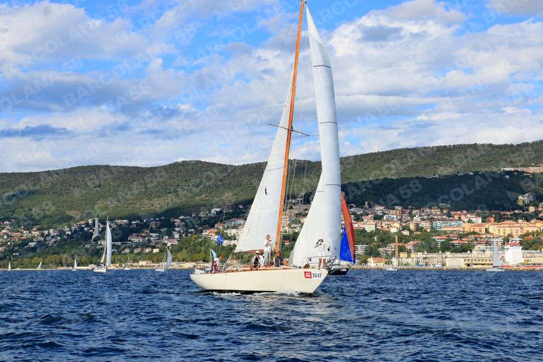 Mascone n° 1647