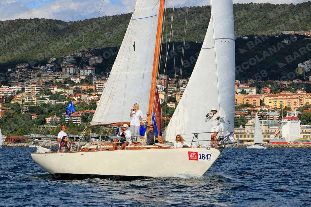 Mascone n° 1647