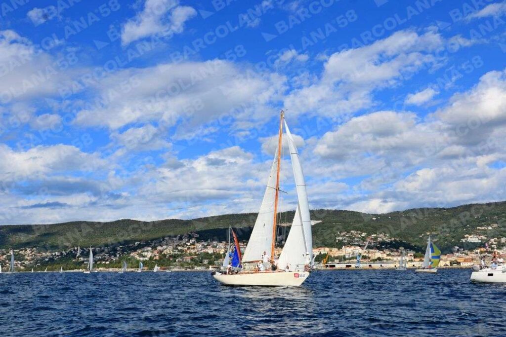 Mascone n° 1647