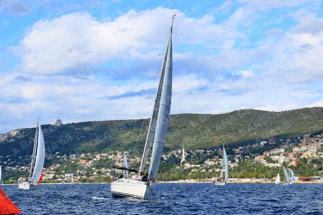Mascone n° 0663